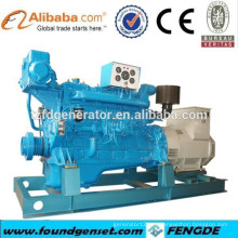 CCS APROBADO 250KW SHANGCHAI generador diesel marino conjunto